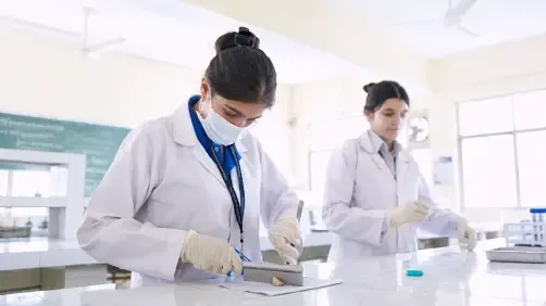 Lab